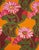 English Como Gerber in Cotton Cushion For Sale - Image 3 of 4