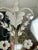 Vintage 1920 Etched Carved Mirror Sconces - Pair For Sale - Image 10 of 12