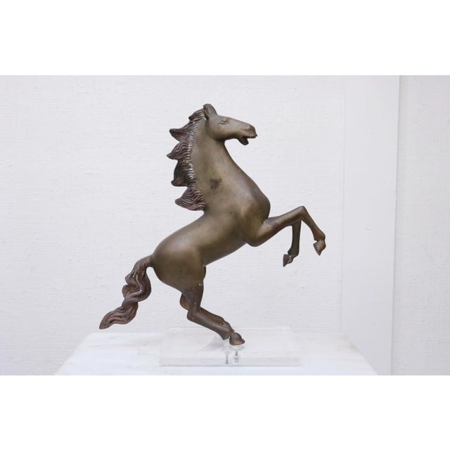 A rearing horse sculpture in bronze. Cast with so much movement - you can see the wind in his mane and tail! The sculpture...
