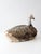 Vintage Swan Folk Art Hunting Decoy For Sale - Image 16 of 17