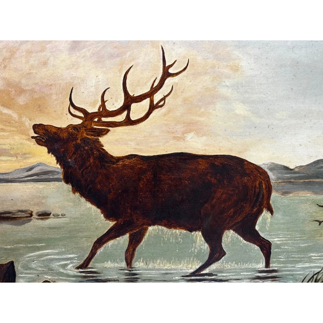19th Century Oil Painting Wild Stag Male Deer Scottish Highlands Wading Loch Lomond Dated 1880 For Sale - Image 6 of 12