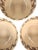 A distinctive set of five Bat Trang ceramic soup bowls, made in Vietnam and decorated with an elegant repeating botanical...