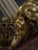 Neoclassical Grand Tour Lion and Fluted Column Table Lamp in Gilt Wood, 1880 For Sale - Image 13 of 18