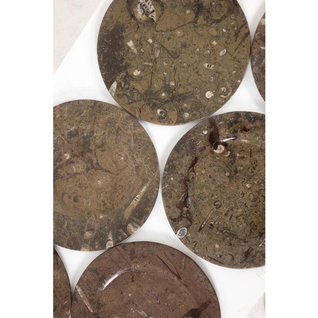 Stone Marble Plates with Fossil Inclusions, Set of 7 For Sale - Image 7 of 8