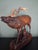 Antique Black Forest Glass and Carved Wood Sculpture of a Roaring Stag, 1950s For Sale - Image 6 of 10