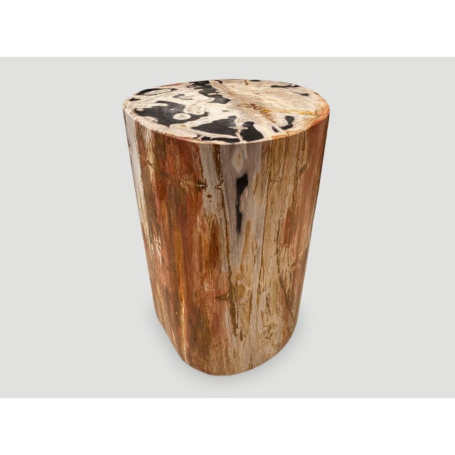 Andrianna Shamaris High Quality Petrified Wood Side Table For Sale - Image 17 of 18