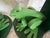 Pair of Handmade Wooden Frog Bookends For Sale - Image 9 of 11