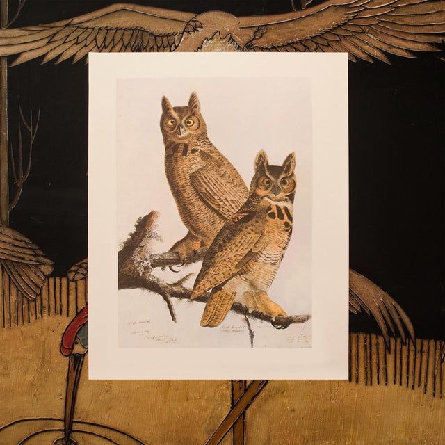 Paper 1966 Vintage Farmhouse Cottage Print "Great Horned Owl" After John James Audubon For Sale - Image 7 of 8