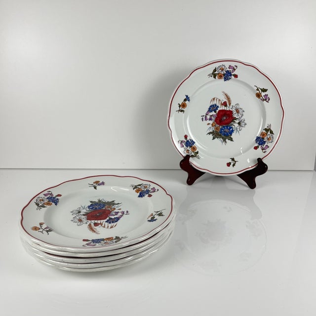 Set of 6 "Agreste" dinner plates, Sarreguemines, late 20th century, Pyroblan porcelain Pyroblan porcelain plate (for...
