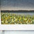 Acrylic on Jute "Last Light on Yellow Flowers" Elegant Painting from 1998
