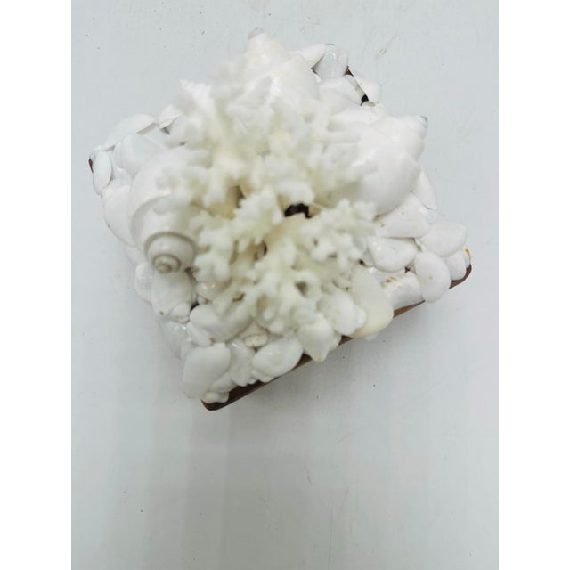 Shell Vintage Box With Shells For Sale - Image 7 of 9