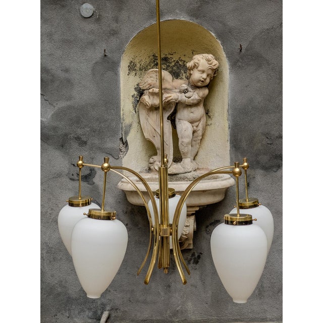 Metal 1950s Stilnovo Elegant Five-Arm Brass Chandelier With Frosted Glass Drops For Sale - Image 7 of 8