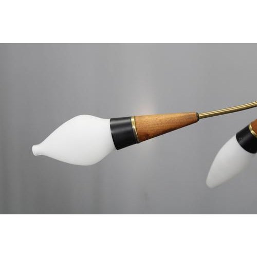 Brass, Teak and Opaline Glass Chandelier by Rupert Nikoll, Austria, 1960s For Sale - Image 11 of 18