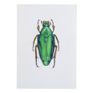 Juris Utans, Royal Green Beetle, 2021, Mixed Media on Paper For Sale
