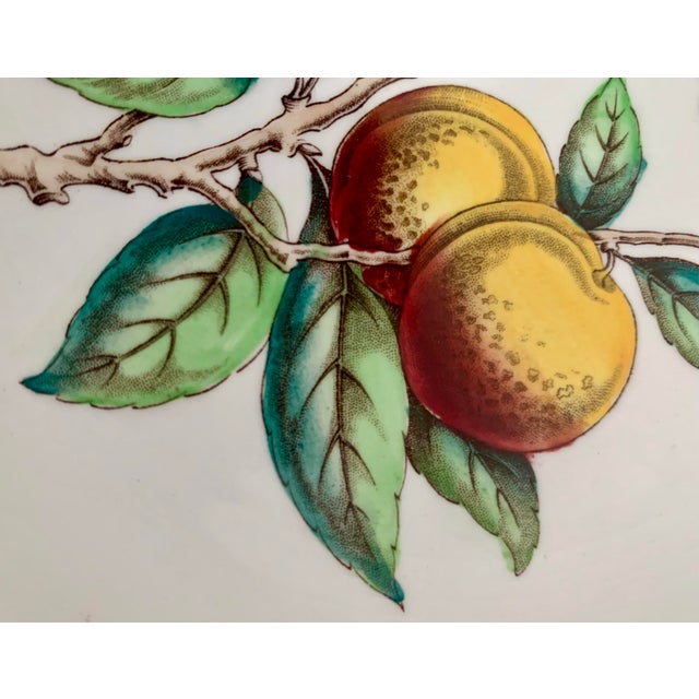 Vintage English Spode ‘Glendale’ Scalloped Plates, Chelsea Wicker Pattern Featuring Botanical Centers With Varied Hand...