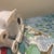 1990s Vintage Sigma Tastesetter White Porcelain Bunny Figurine - Pink Eyes & Blue Gingham Bow For Sale - Image 5 of 6