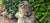 Weathered Sleeping Cherub, 1910s For Sale - Image 4 of 11