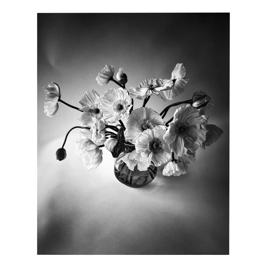Poppy Bunch - Black and White Floral Photography, Limited Edition 2 of ...