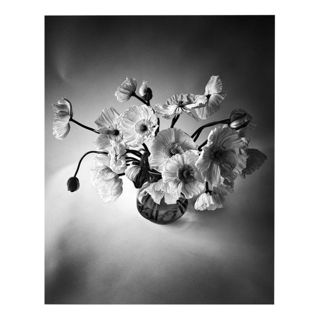 Poppy Bunch - Black and White Floral Photography, Limited Edition 2 of 20 2024 For Sale