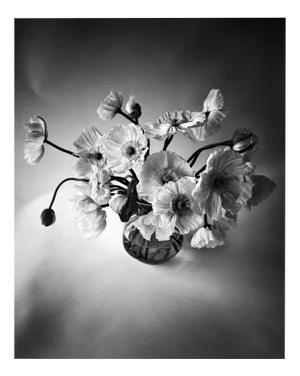 Poppy Bunch - Black and White Floral Photography, Limited Edition 2 of 20 2024