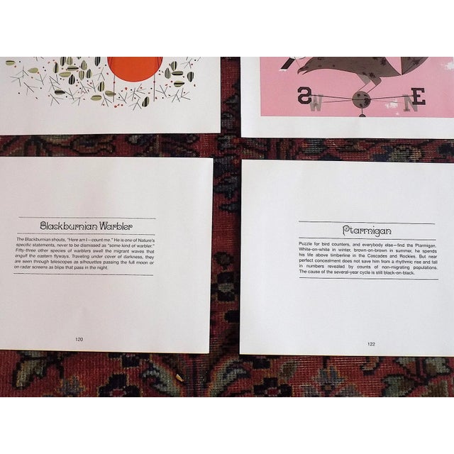 Pink Vintage Charley Harper Modernist Abstracted Bird Lithographs (10.75" X 8.25") - Set of 9 For Sale - Image 8 of 10