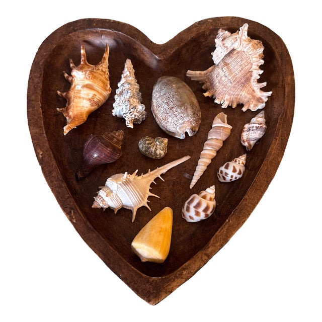 Mid-Century Modern Hand-Carved Heart Wooden Catchall Bowl With Curated Seashell Specimen Collection For Sale