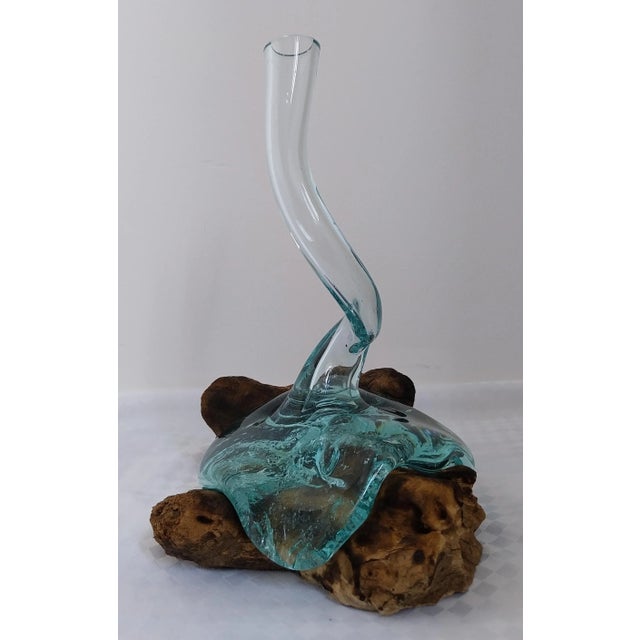 Gamal Root Tree Glass Vase, 2010s For Sale - Image 9 of 9
