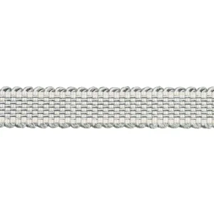 Schumacher Frances Silk Gimp Trim in Mineral