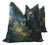 Dedar Schwarzwald in Verdure Double-Sided 22” Down Filled Pillows - a Pair For Sale