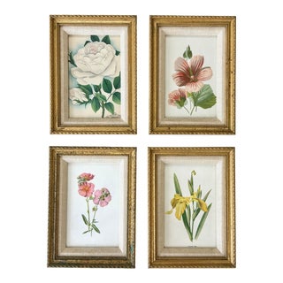Antique Victorian Botanical/Floral Prints in Gilt Frame (Set of Four)/Hulmes For Sale