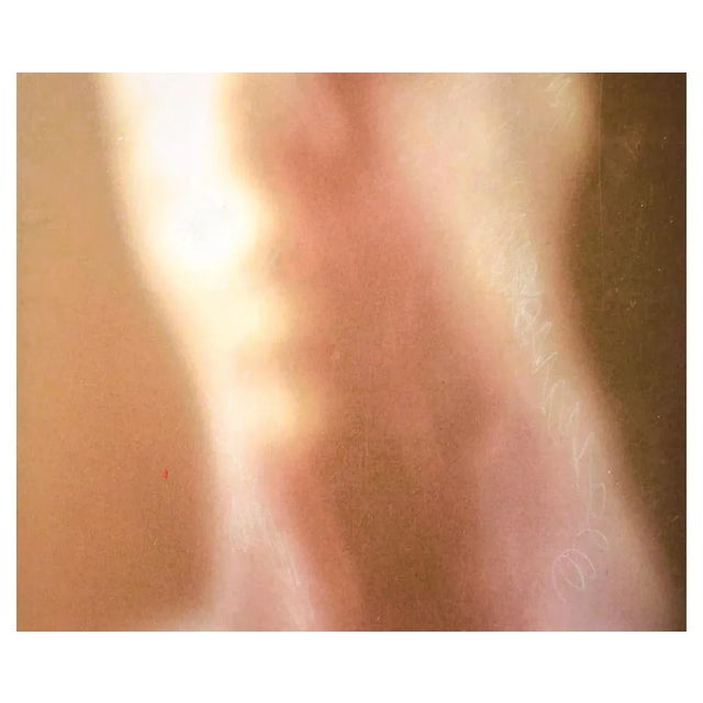 Assente e Amato is an original artwork realized by aMBRA mOROSI in 2018. Original oil pressed on canvas. Very good...