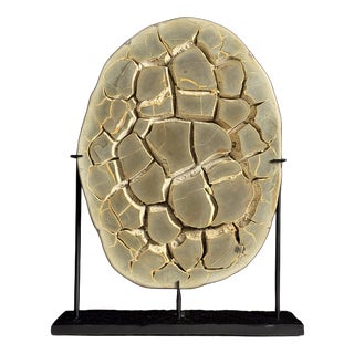 Septaria on Custom Stand For Sale