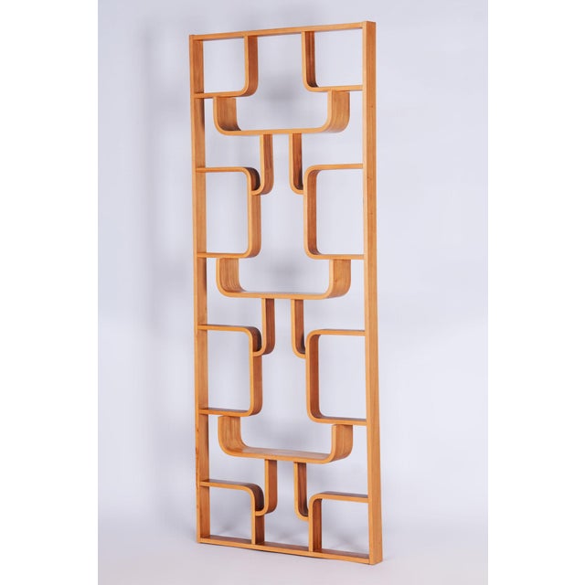 Mid-Century Modern Divider by Ludvik Volak, 1960s For Sale - Image 11 of 12