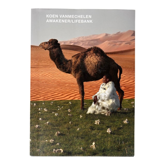 Exhibition Art Book-Koen Vanmechelin, Awakener/Lifebank, Glasstress 2015 For Sale