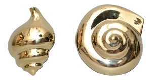 Nautical Polished Brass 2 Piece Seashell Sculptures Wall Art Mid-Century Modern