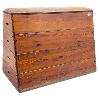 Vintage Decorative Sports Box, 20th Century For Sale