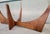 Brown Adrian Pearsall Sculptural "Stingray" Coffee Table #2399-Tc For Sale - Image 8 of 13