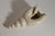 Sculptural Shell Vase in Stoneware by C.H. Brannam, 1965 For Sale - Image 4 of 12