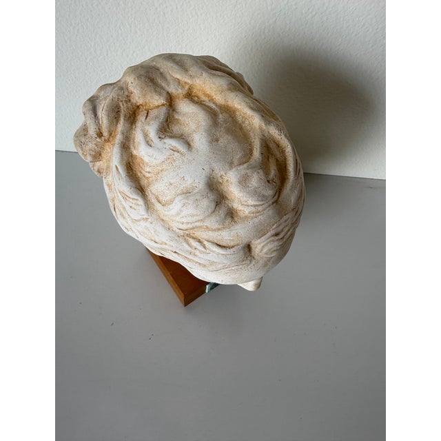 Beige Vintage Handcrafted Hygieia Greek Goddess Plaster Bust Sculpture on Wood Base For Sale - Image 8 of 12