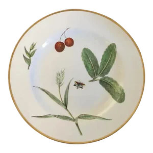 Antique 18th Century Chelsea Porcelain Botanical Plate
