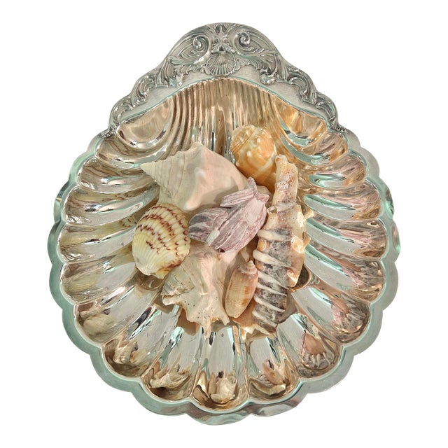 Mid 20th Century Rococo Hollywood Regency 10.5” Silver Plate Shell Dish Attributed to Fb Rogers - With Natural Shells For Sale