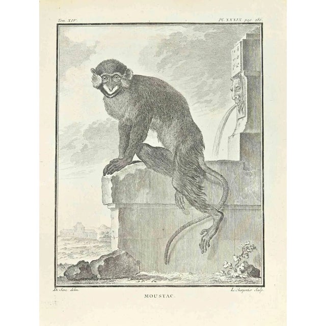 Frnaçois-Philippe Charpentier, Moustac, Etching, 1771 For Sale