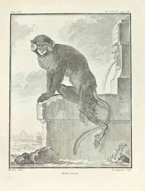 Frnaçois-Philippe Charpentier, Moustac, Etching, 1771