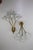 Mid-Century Modern Sconces by Emil Stejnar for Rupert Nikoll, 1950s, Set of 2 For Sale - Image 3 of 8