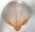 Mid-Century Modern Vintage MCM Fitz Floyd Monotone Shell Orange Plates - Set 4 For Sale - Image 3 of 5