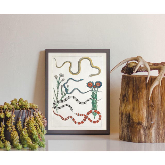 Colorful Southwest Snakes and Botanical Giclée For Sale - Image 4 of 7