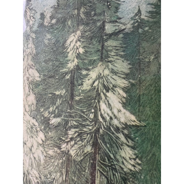 American Vintage 1960 Framed Print of World's Largest Living Thing , Tree For Sale - Image 3 of 6