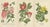Edward Step, A Triptych of 19th-Century Floral Art, 1896, Paper, Set of 3 For Sale