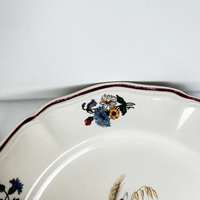 Vintage Agreste Dessert Plates from Sarreguemines, 1970s, Set of 8 For Sale - Image 6 of 10