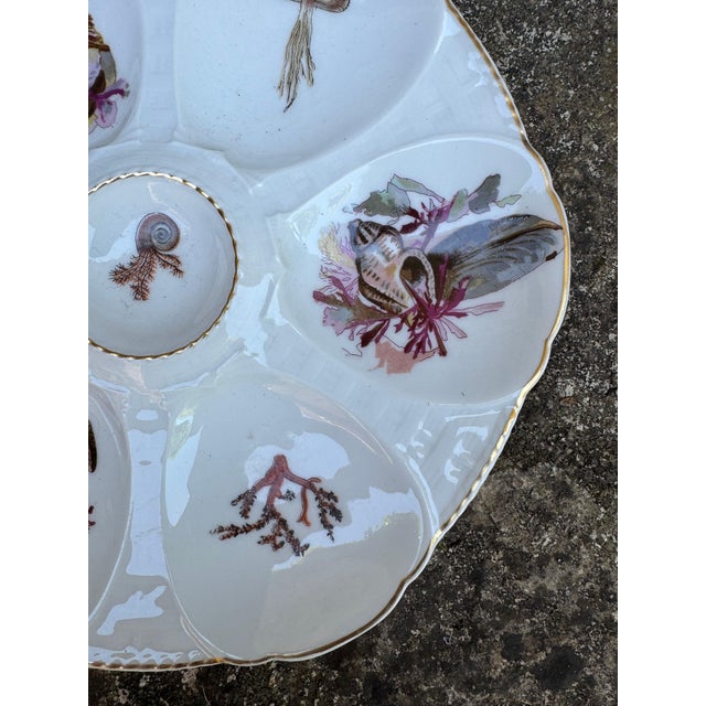 French French Oyster Plate For Sale - Image 3 of 4